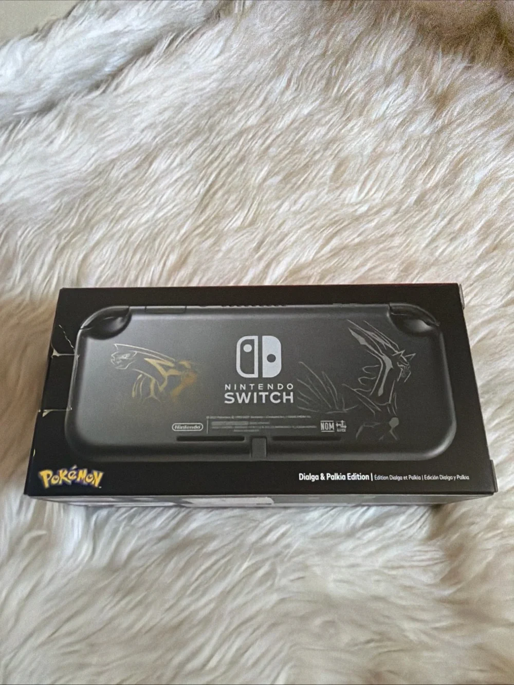 Nintendo switch lite